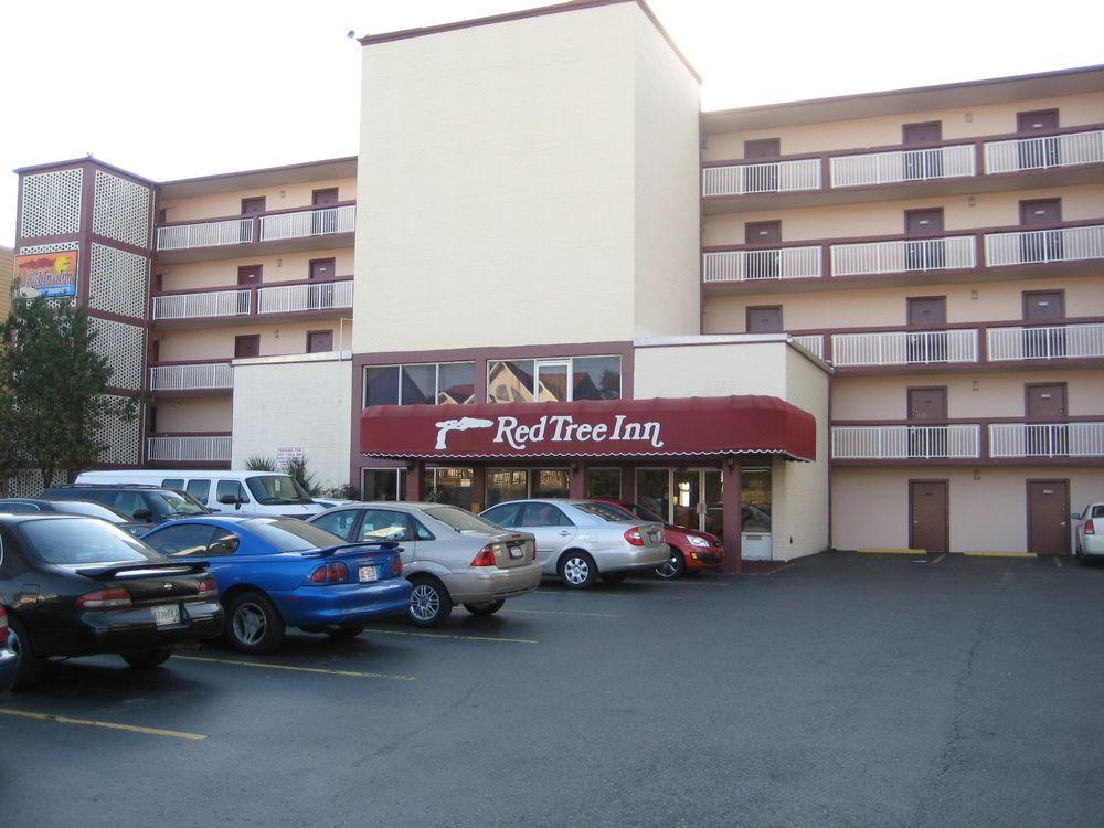 Oasis Hotel North Myrtle Beach Dış mekan fotoğraf